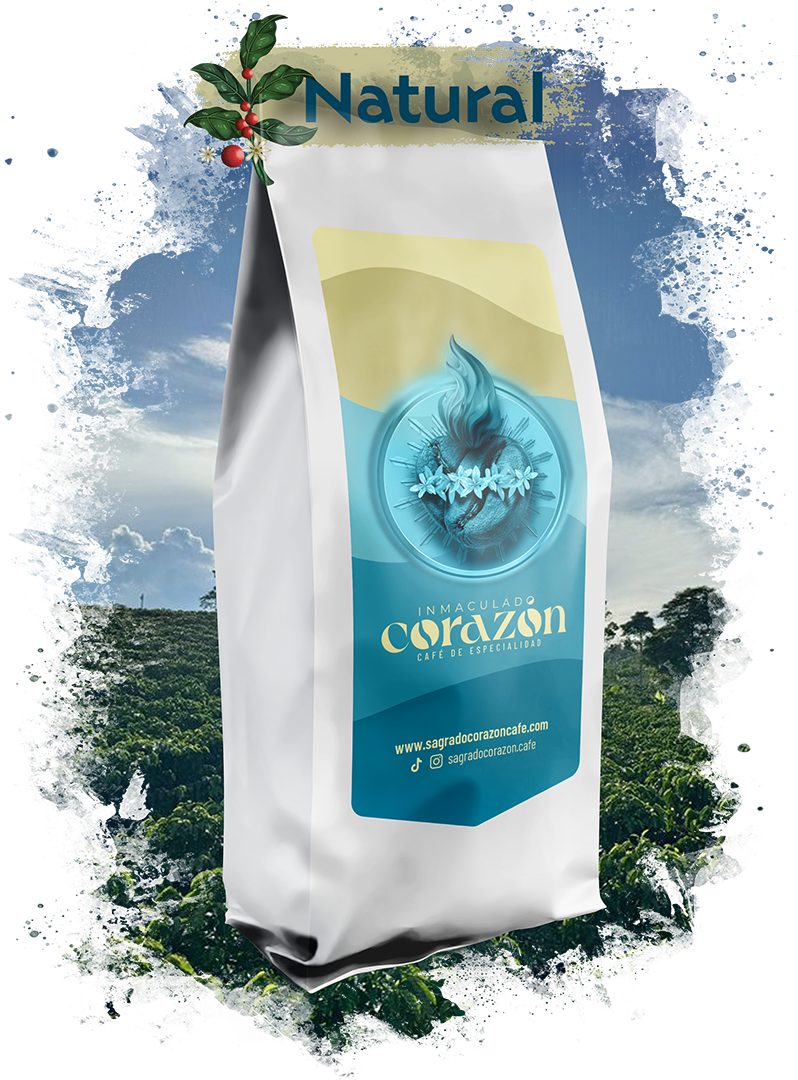 Grano de Café Castillo Procesado Natural